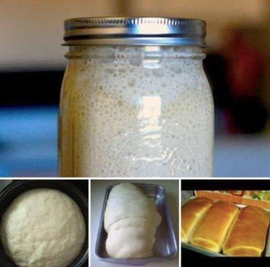 Receita de Fermento Caseiro Que Faz o Pão Crescer Muito