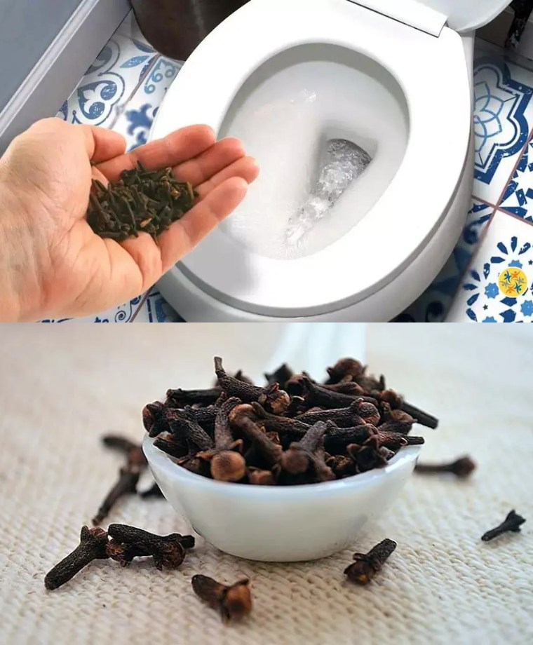 Receita Caseira para Tirar o Cheiro de Urina do Banheiro