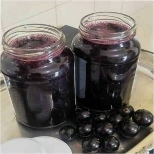 Geleia de Jabuticaba: Uma Delícia Brasileira