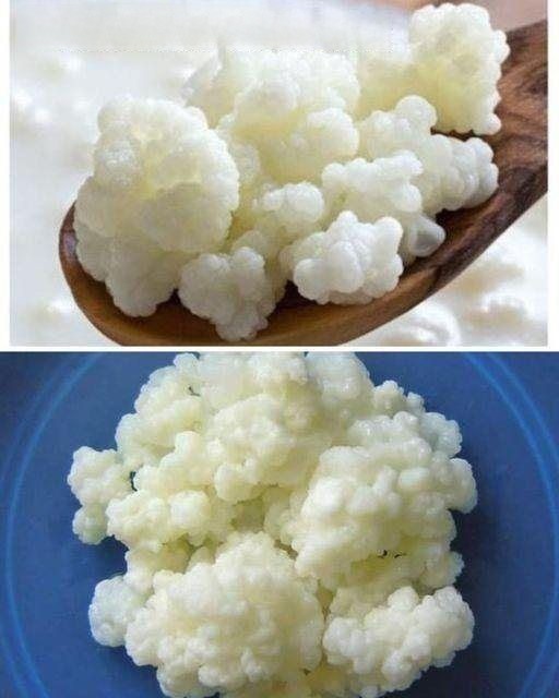 Kefir Caseiro Simples e Fácil